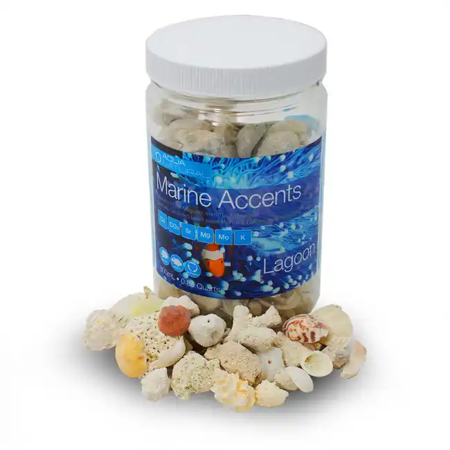 Natural Marine Accents Fossilized Aragonite - Lagoon (800 mL) - Pisces Aqua