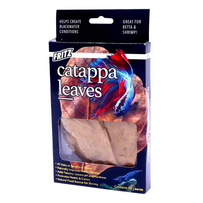 Catappa Leaves Blackwater Shrimp & Bettas - Fritz