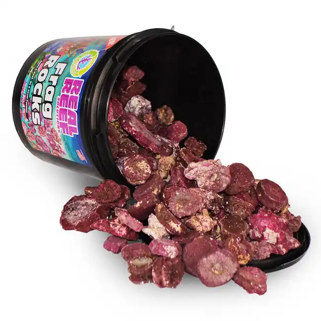 Real Reef Frag Rocks (200 pc Mixed Bucket) - Real Reef