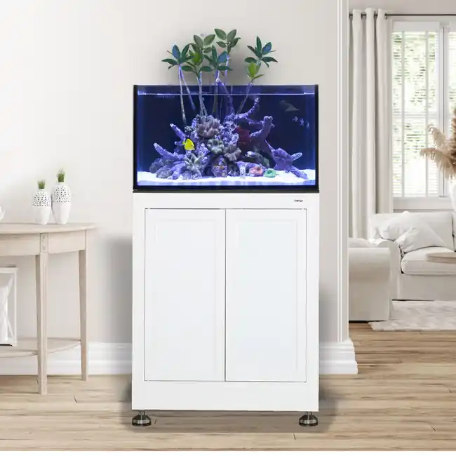 EXT 50 Lagoon Aquarium w/ APS Stand – White - Innovative Marine