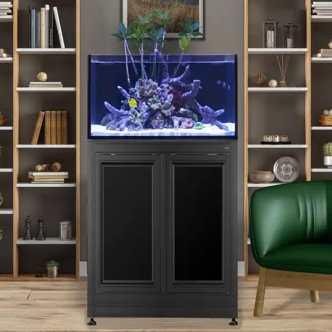 INT 50 Lagoon Aquarium w/ APS Stand – Black - Innovative Marine