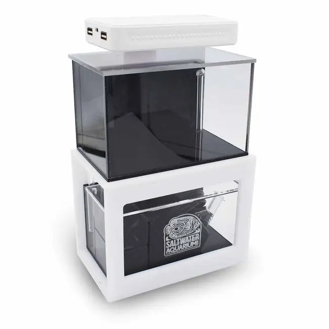 Micro FRESHWATER Ready Tank (0.3 Gallon) Standard (WHITE) - PNW Customs