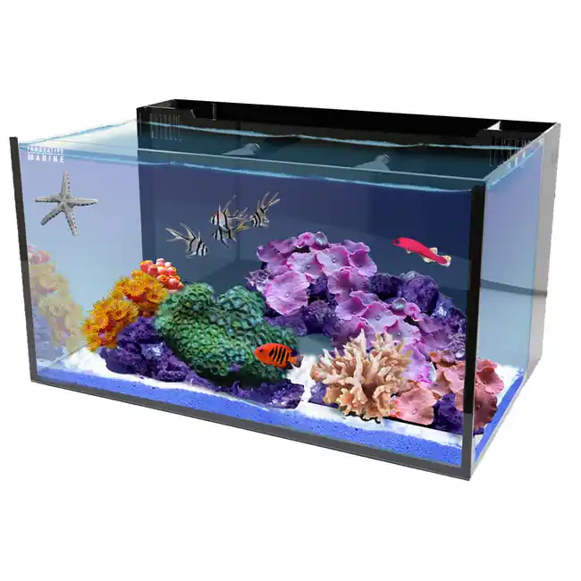 20 Gallon AIO Long Nuvo Fusion Aquarium Desktop (0315-P) - Innovative Marine