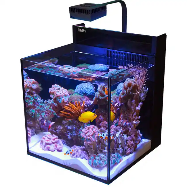 Max Nano XL G2 - 33 Gallon Aquarium (No Stand) - Red Sea