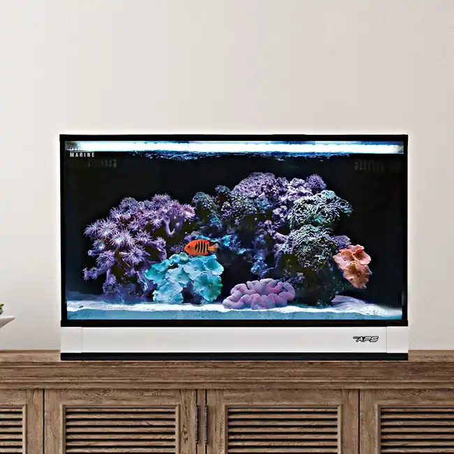 Fusion Pro 2 - 20 AIO Aquarium w/ APS Pedestal (0305-W) White - Innovative Marine