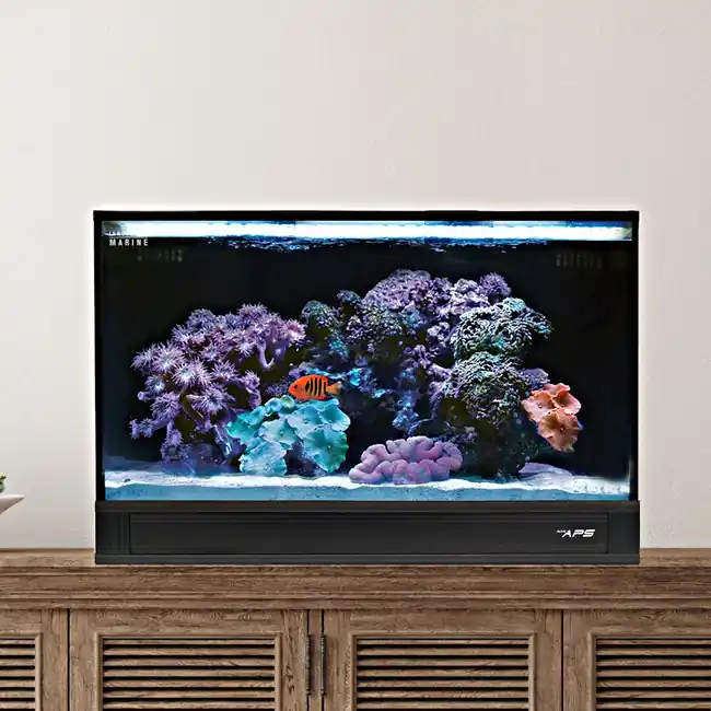 Fusion Pro 2 - 20 AIO Aquarium w/ APS Pedestal (0305-B) Black - Innovative Marine