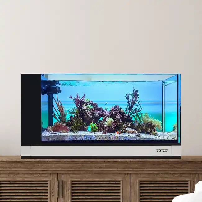 Fusion Pro 2 | 20 AIO Peninsula Aquarium w/ APS Pedestal - White- Innovative Marine