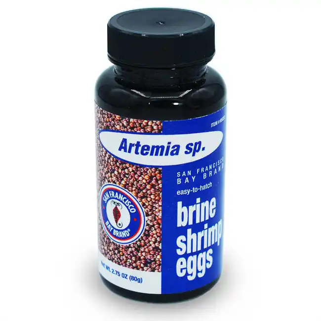Easy to Hatch Brine Shrimp Eggs 2.75 oz (80 gm) - San Francisco Bay Brand