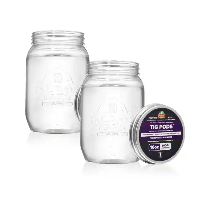 Pods Tig 6000+ (32 oz) Live Copepods (Tigriopus Californicus) - Algae Barn