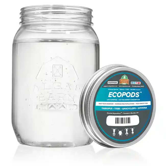 Ecopods (64 oz) Four Live Copepods Mix - Algae Barn