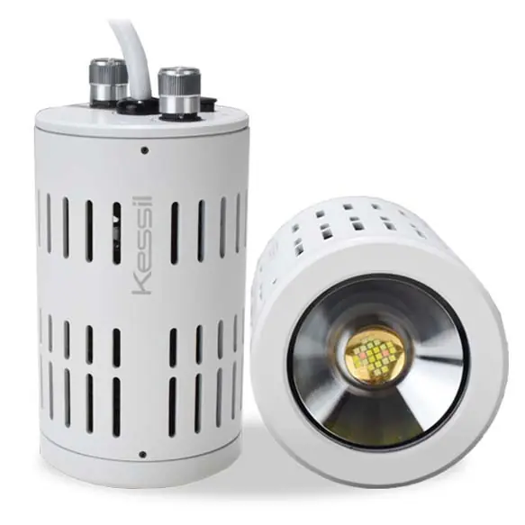 A160WE Tuna Sun FRESHWATER (WHITE) Exclusive Special Edition Package - Kessil