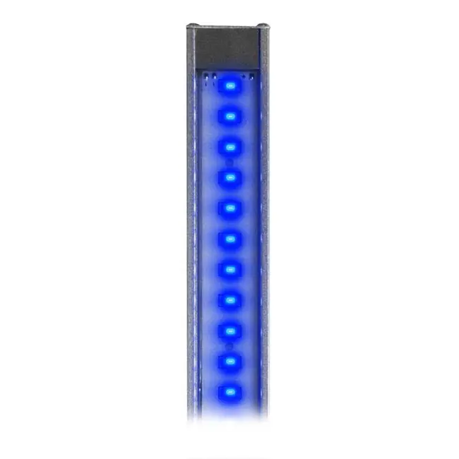 36" Actinic Blue XHO High Output LED - Reef Brite