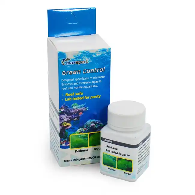 Green Control Fluconazole (150 mg) - Maxspect