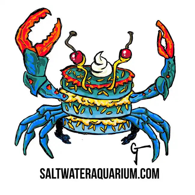 CrabCake SaltwaterAquarium.com Sticker (FREE OVER $50) - SAQ.com