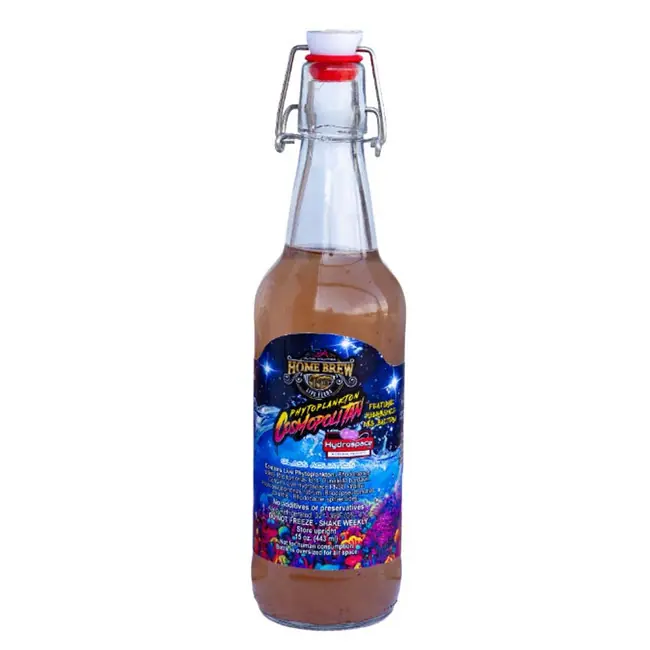 Cosmopolitan Phytoplankton (15 oz) - Home Brew Live Feeds