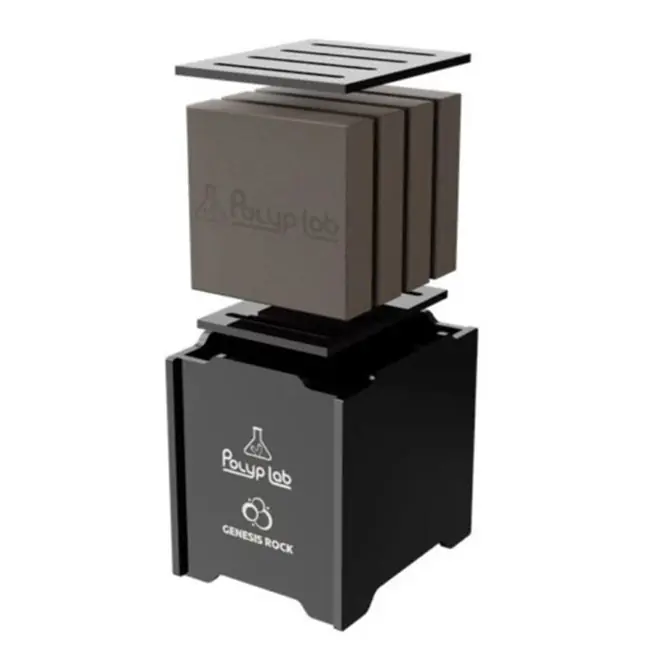 Power Pack Rack w/ 4 Pack Genesis Rock - PolypLab