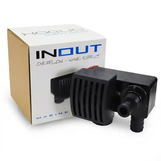 INOUT Overflow and Return - Xaqua