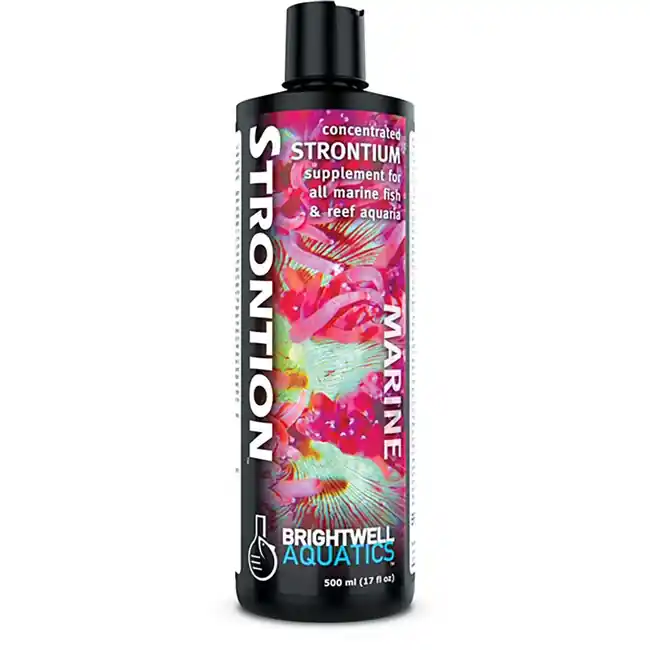 Strontion - Liquid Strontium Supplement (500 mL) - Brightwell