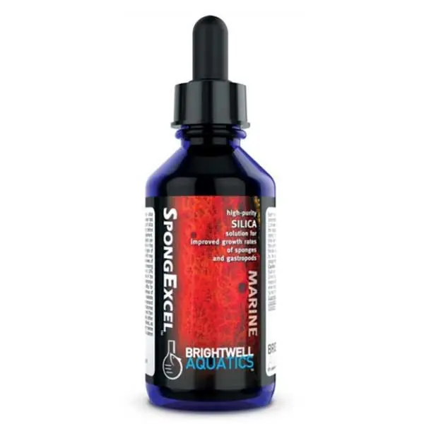 SpongExcel (60mL) - Brightwell