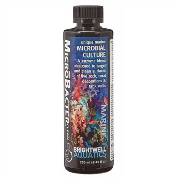 MicroBacterClean (250 ML - 8 oz) - Brightwell