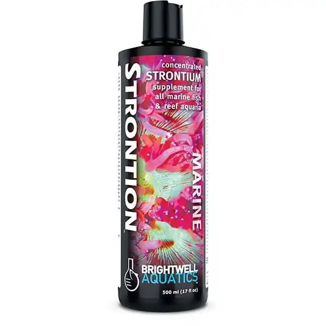 Strontion - Liquid Strontium Supplement (250 mL) - Brightwell