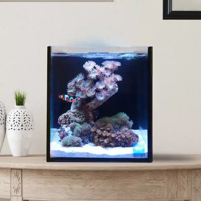 10 Gallon Fusion Pro 2 Bundle AIO Aquarium (0205-P) - Innovative Marine