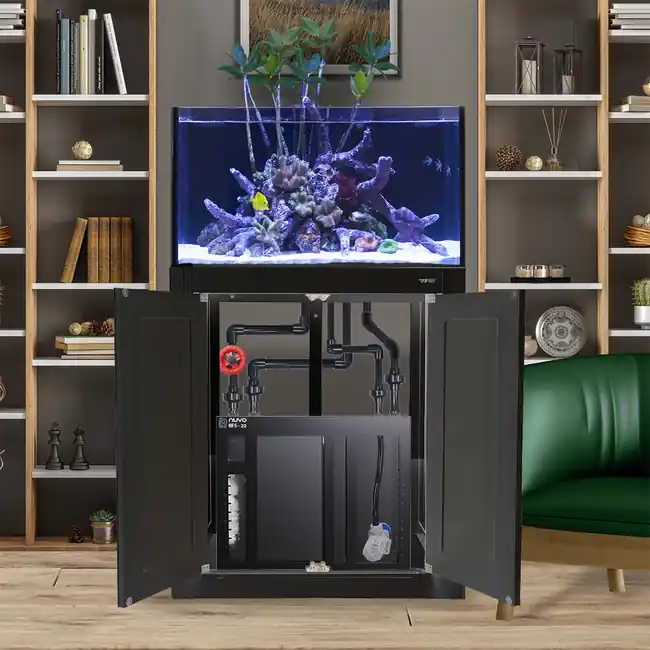 INT 50 Gallon Complete Reef System – Black - Innovative Marine