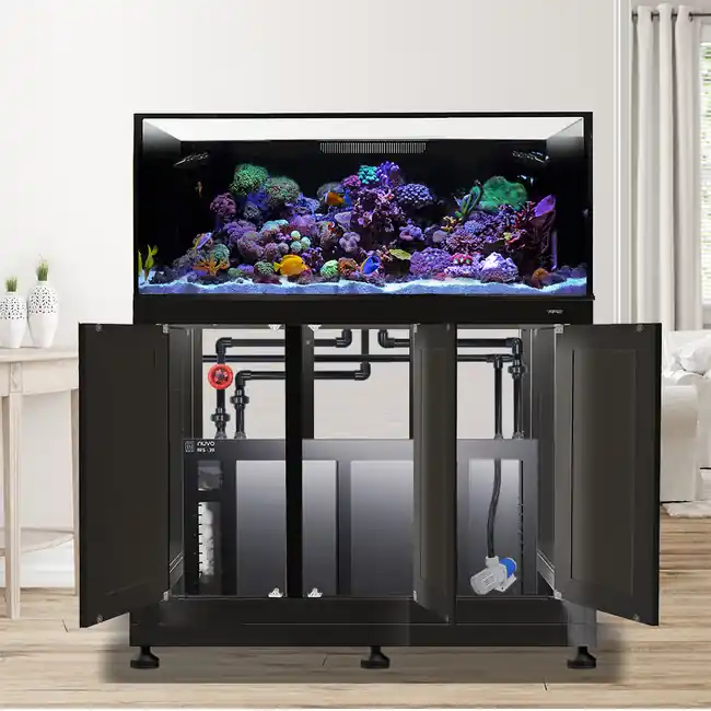 EXT 100 Gallon Complete Reef System – Black - Innovative Marine