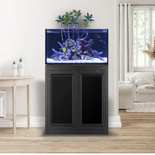 EXT 50 Gallon Complete Reef System - Black - Innovative Marine
