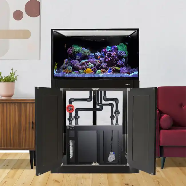 INT 75 Gallon Complete Reef System – Black - Innovative Marine