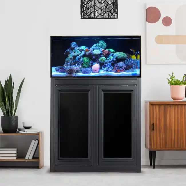 Shallow Reef Pro 2 60 Gallon AIO Aquarium w/ BLACK APS Stand - Innovative Marine