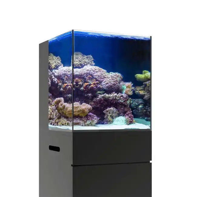 15 Gallon Nano RL Rimless Aquarium (Tank Only) - JBJ