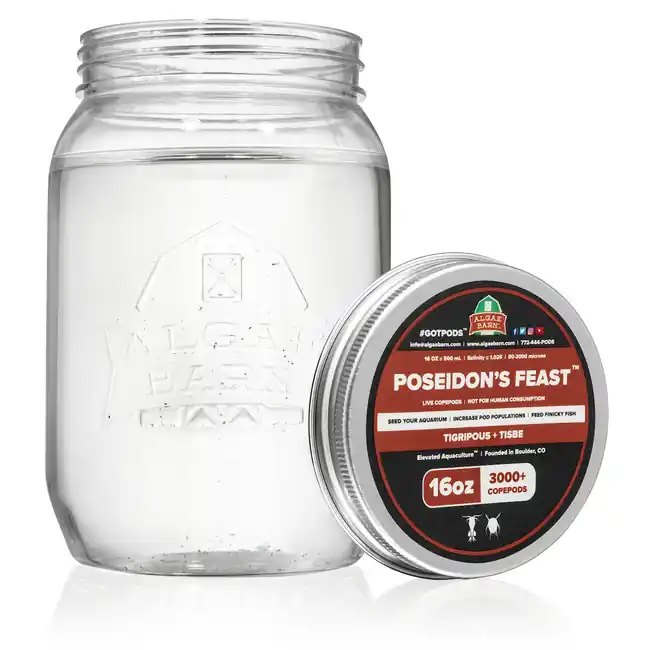 Poseidon’s Feast 12000+ (64 oz) Live Two Species Copepods Mix (Tig & Tisbee) - Algae Barn