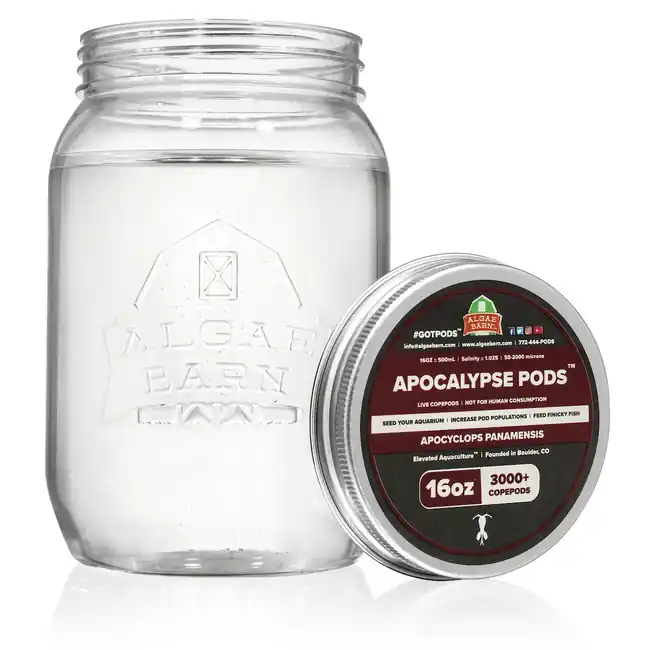 Pods Apocalypse 24000+ (128 oz) Live Copepods (Apocyclops Panamensis) - Algae Barn