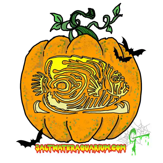 Spooky Punkin SaltwaterAquarium.com Sticker (FREE OVER $50) - SAQ.com