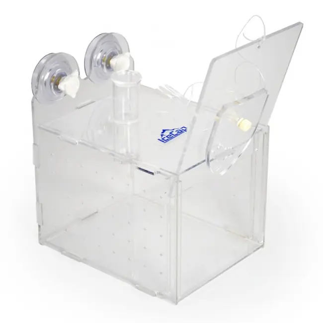 Small Fish Trap (6" x 3" x 3.5") - IceCap