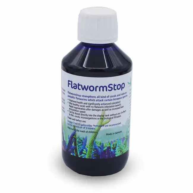 KZ Flatworm Stop (250 ml) - Korallen-zucht