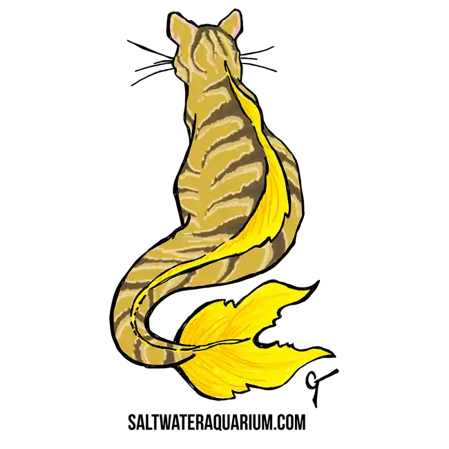 CatFish SaltwaterAquarium.com Sticker (FREE OVER $50) - SAQ.com