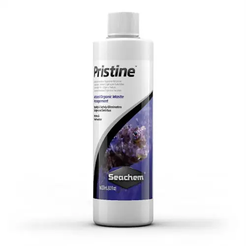 Pristine (250 ml) Bacterial Water Conditioner - Seachem