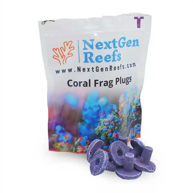 NextGen Ceramic Coral Frag Plugs 1" CORALLINE PURPLE (25 pc) - Oceans Wonders