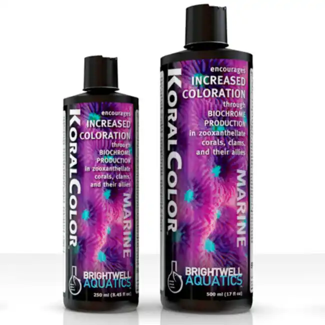 KoralColor - Encorages Increased Coloration in Corals (250 ML) - Brightwell