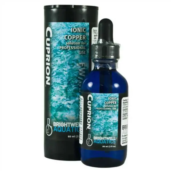 Cuprion (60mL) - Brightwell