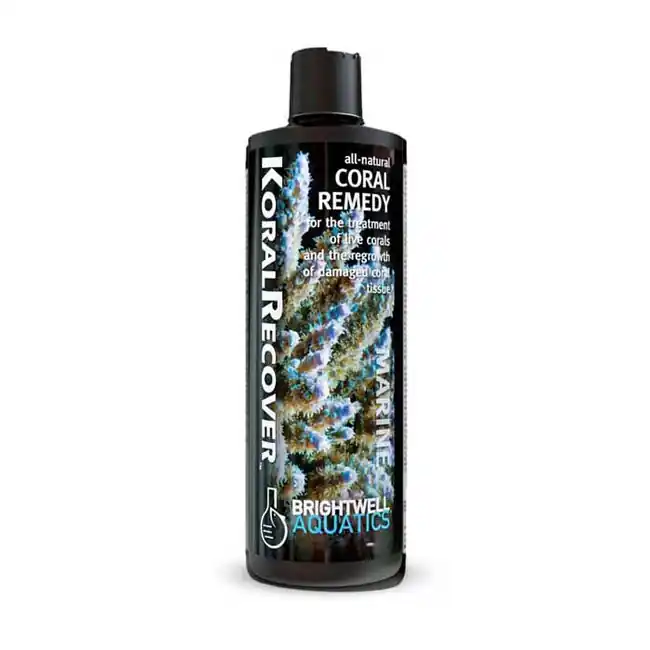 KoralRecover (500mL) - Brightwell