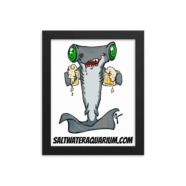 Hammerhead Getting Hammered Framed Photo Paper Poster - SaltwaterAquarium