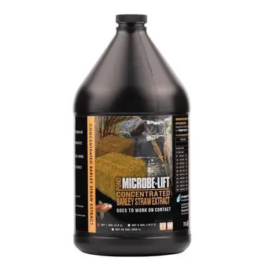 MICROBE-LIFT Concentrated Barley Straw Extract 1 Gallon