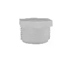 Drain fitting - 1" MPT Nylon Plug