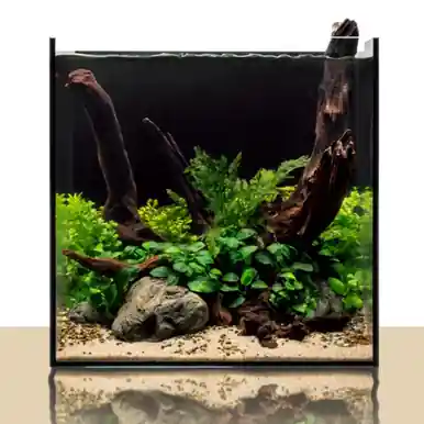UNS Rimless Aquarium 35A AIO