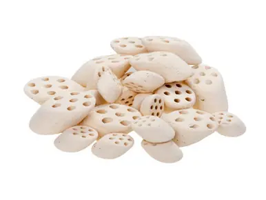 1L Lotus Root Nitro Ring II for fresh water - Mountain Tree