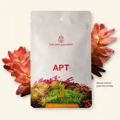 2Hr Aquarist APT Jazz (9 caps)