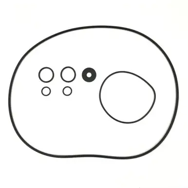 Pondmaster Replacement O-Ring Set for All Biomatrix Filters